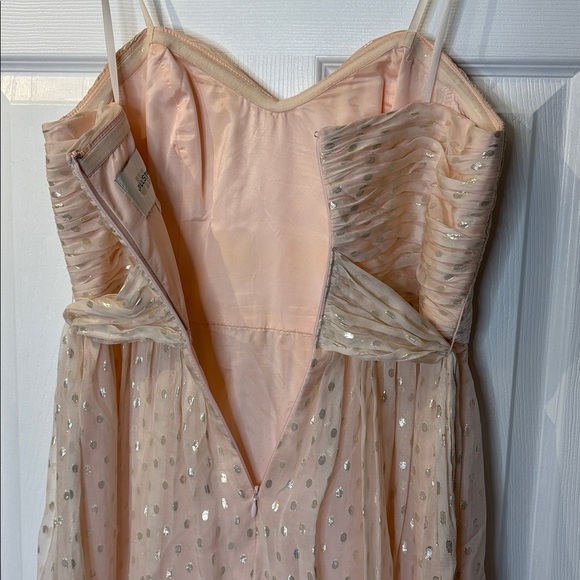 ⭐️ Jill Stuart Strapless Light Peach Silk Gown with Silver Accents - size 8 - Picture 10 of 13